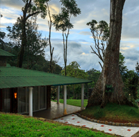 kasauli-24