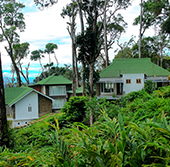 Munnar